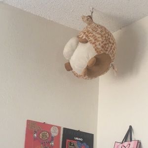 Meet your Posher, Lilly